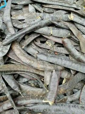 丨生态丨皂角液天然洗涤用品 五斤装 汪老师助农品