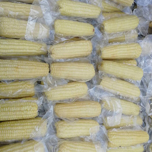【武汉.汉南】汉南熟黄糯玉米+熟白糯玉米2公斤（熟黄糯5根+熟白糯5根，真空装）【即食】 商品图3