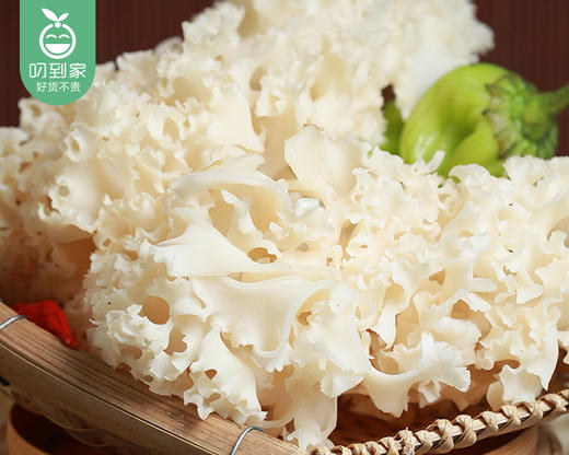 【叼鲜蔬】古田新鲜绣球菌/1份（约150g） 商品图3