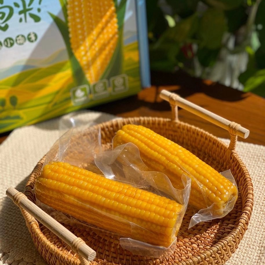 【下单后48小时发货】早安大苞米·东北黄金香糯玉米 10根装 200g左右/根 软糯可口 口感香甜 老少皆宜 不可以开袋即食哦！需要蒸熟或者煮熟吃！