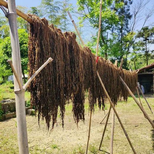 【梅干菜】 商品图0