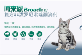勃林格博来恩 S （2.5kg 猫用)1盒， 用于预防和治疗猫跳蚤、蜱虫感染、胃肠道线虫、绦虫感染。非泼尼罗.甲氧普烯乙酰氨基阿维菌素、吡喹酮。