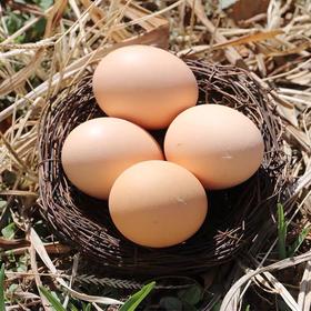 【深州桃园柴鸡蛋】30枚/箱    果林散养、杂粮辅饲、鲜香滑润、蛋香纯正