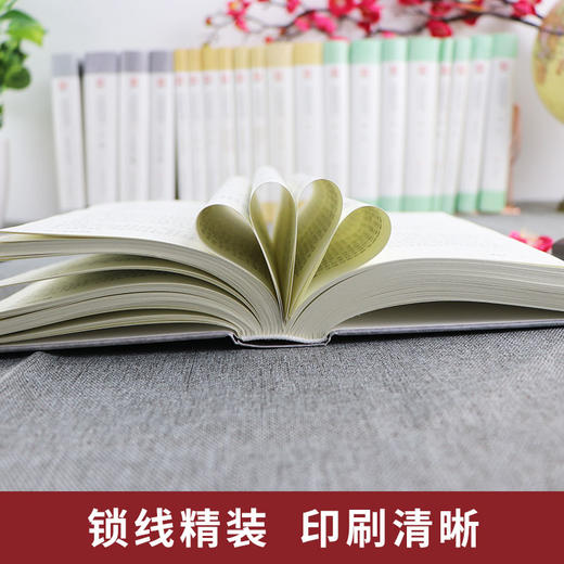 元曲三百首 精装中华传统文化经典全注新译精讲丛书 许嘉璐先生主编赵兴勤赵韡译注原版国学名著正版 商品图3