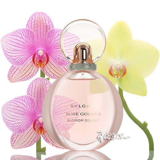 宝格丽 沐光玫香女士浓香水 Bvlgari Rose Goldea Blossom Delight 小样/正装 商品图0