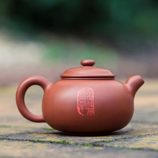 张坦  壶 商品图1