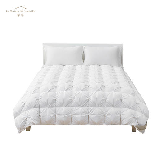 馨亭 鹅绒被-舒适轻柔立体扭花保暖被子被芯 商品图3