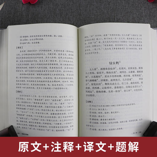 宋词三百首精装 中华传统文化经典全注新译精讲丛书 许嘉璐先生主编朱德慈译注原版国学名著正版 商品图1