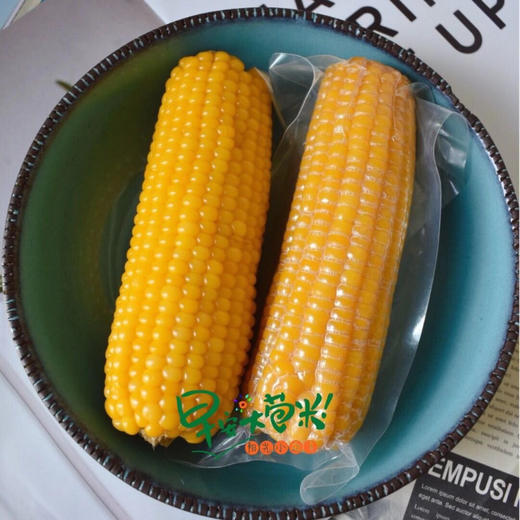 【下单后48小时发货】早安大苞米·东北黄金香糯玉米 10根装 200g左右/根 软糯可口 口感香甜 老少皆宜 不可以开袋即食哦！需要蒸熟或者煮熟吃！ 商品图11