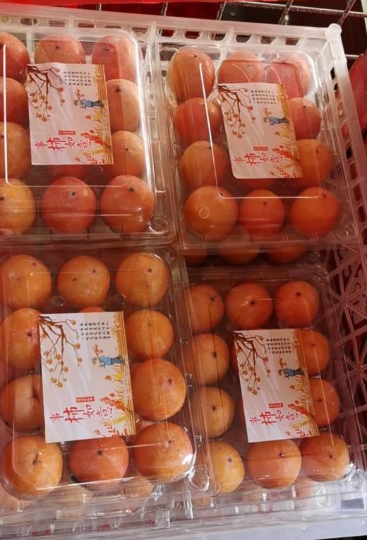 【15元2盒】珍珠蜜柿子1盒*12个装（1500288） 商品图1