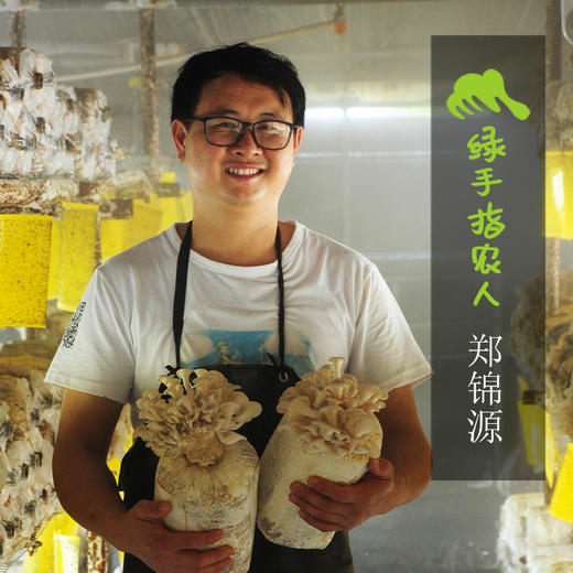 生态蘑菇份额 | 绿家自产* Share of ecological miscellaneous Mushroom | In-House Production 商品图3