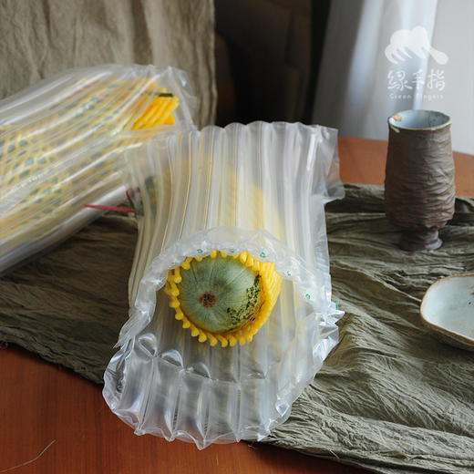 生态香瓜 | 绿家自产*Eco-melon | Self-production 商品图7
