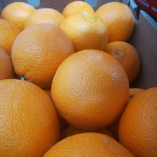 【15.8元2斤】南非橙（1501869） 商品图1