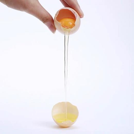 【深州桃园柴鸡蛋】30枚/箱    果林散养、杂粮辅饲、鲜香滑润、蛋香纯正 商品图2