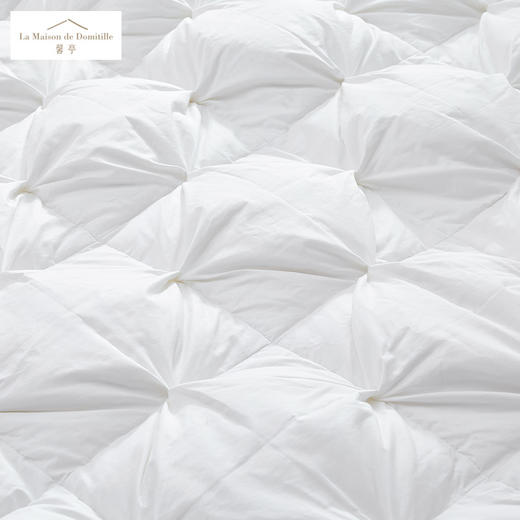 馨亭 鹅绒被-舒适轻柔立体扭花保暖被子被芯 商品图1