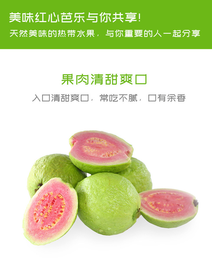 1688红心芭乐详情_04