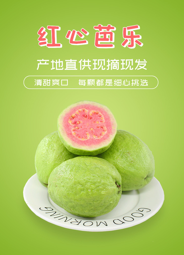 1688红心芭乐详情_01