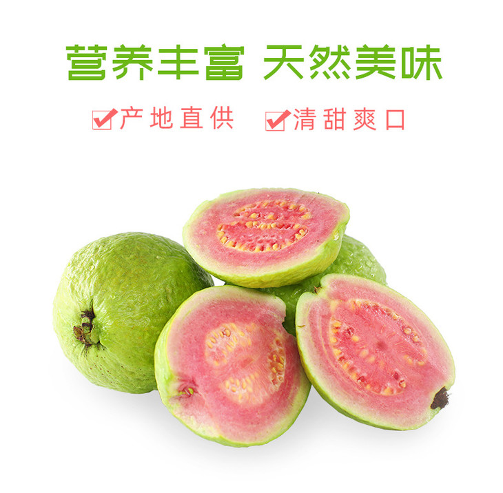 1688红心芭乐详情_02