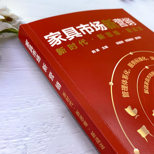 家具市场新营销：新时代·新思维·新战法 商品图7