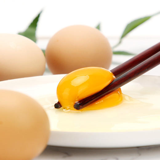 康硕优土鸡蛋,新鲜安全,枚枚优质安心蛋