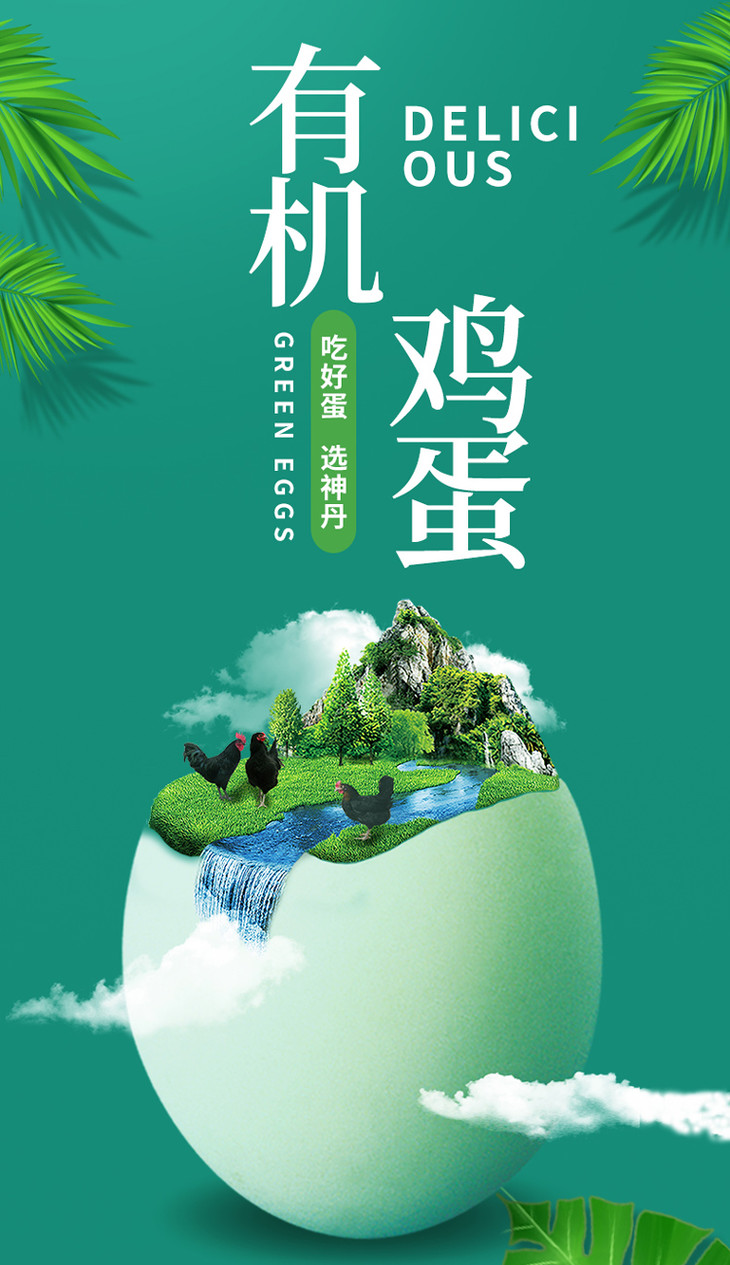 神丹福利绿壳有机鸡蛋32枚礼盒装