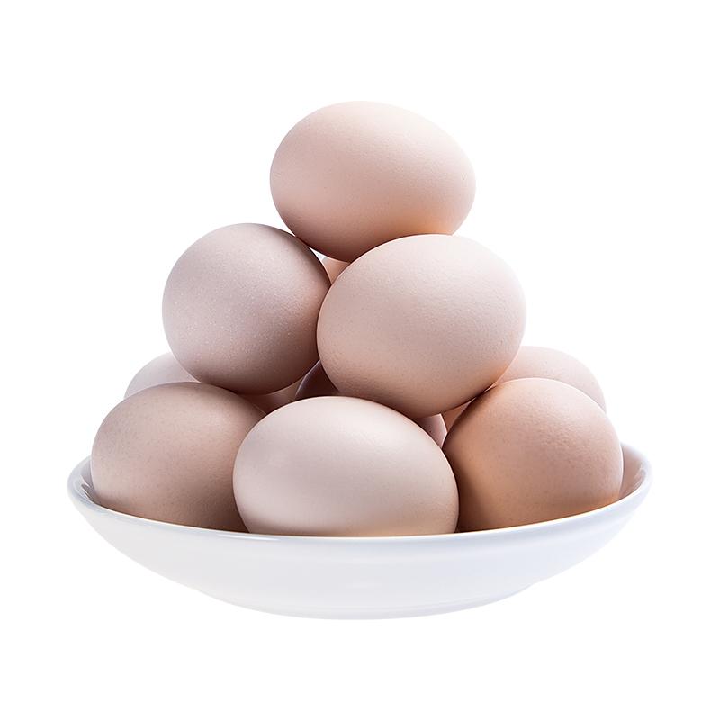 黄河滩区飞出“金鹌鹑”