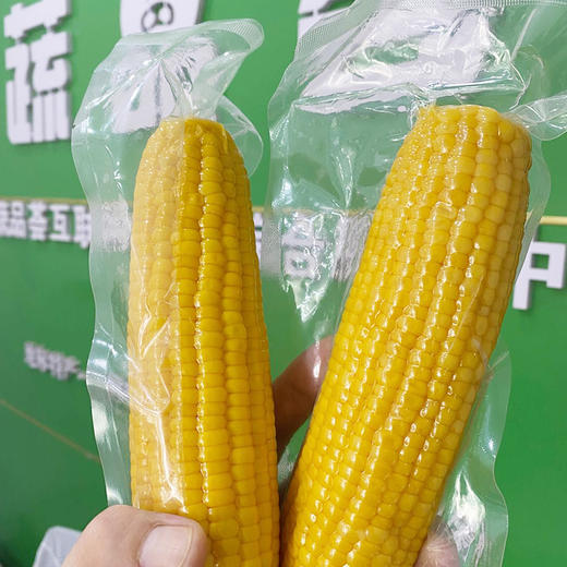 【爱心消费助农】汉南熟奶香糯玉米5支 熟甜玉米5支(真空装)