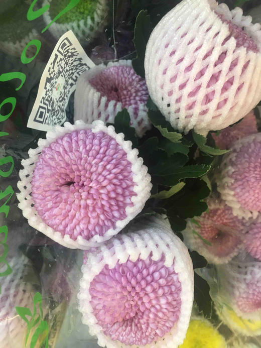 国产乒乓菊-粉色-10支 商品图0