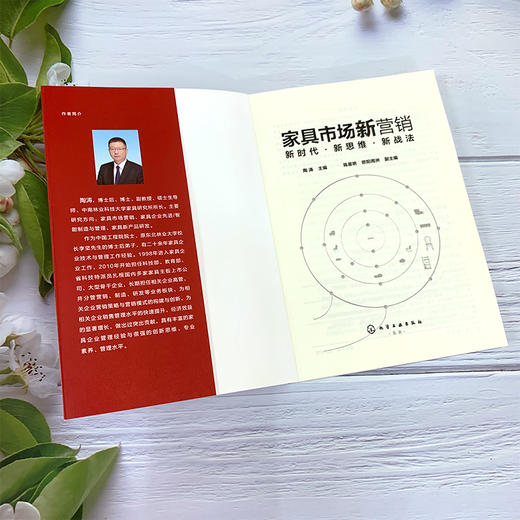 家具市场新营销：新时代·新思维·新战法 商品图2