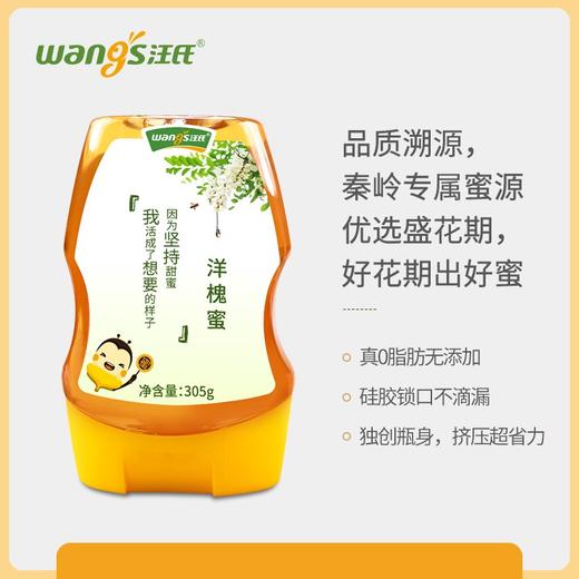 【汪氏】正宗洋槐蜜305g 商品图1