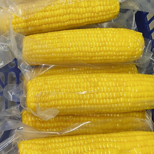 【爱心消费助农】汉南熟奶香糯玉米5支 熟甜玉米5支(真空装)