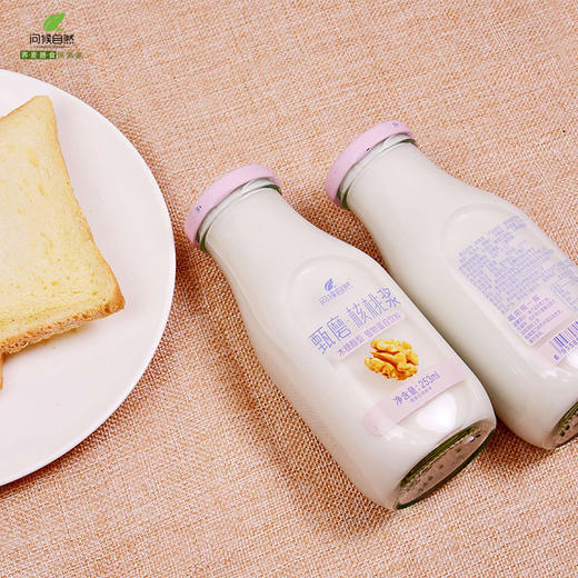 甄磨核桃浆核桃乳饮料 6瓶装*1箱植物蛋白原浆