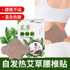 【积分兑换】艾草腰椎贴 商品缩略图0