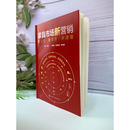 家具市场新营销：新时代·新思维·新战法 商品图8