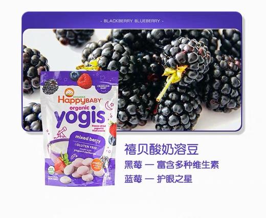 美国HappyBaby 禧贝磨 益生菌酸奶溶豆婴儿辅食-28g（蓝莓树莓/草莓/香蕉&芒果） 商品图2