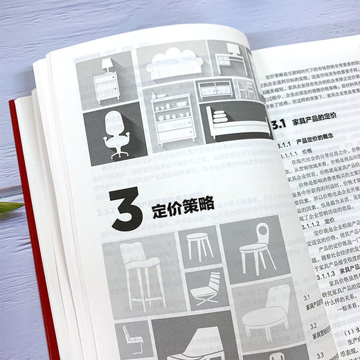 家具市场新营销：新时代·新思维·新战法 商品图5