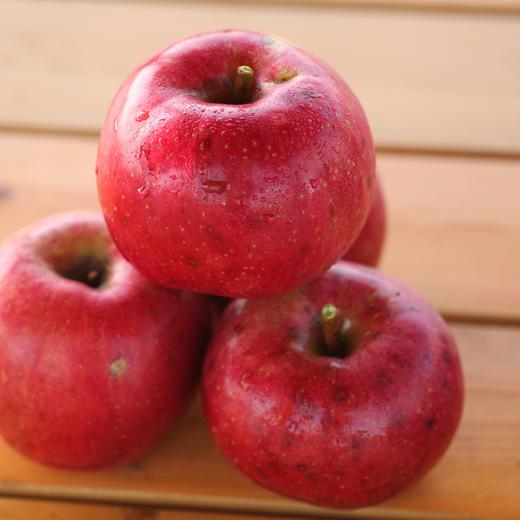 有机真的丑红富士苹果（满2件减20元） | 合作生产 Organic-real ugly Fuji apple | Coproduction 商品图2