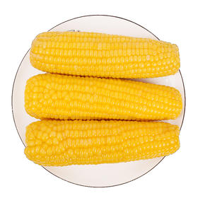 【武汉.汉南】汉南熟黄糯玉米+熟白糯玉米2公斤（熟黄糯5根+熟白糯5根，真空装）【即食】