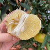 黄金葡萄柚福建4.5-5斤8-8.5斤柚子新鲜当季水果台湾品种西柚整箱包邮 商品缩略图2