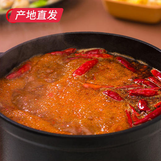 【海底捞】老火锅手做牛油底料 重庆麻辣手作手工火锅底料500g产地直发  商品图2