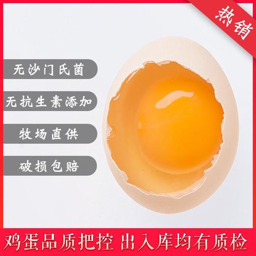 丁乡鲜鸡蛋 无抗生素安心蛋30个 商品图3