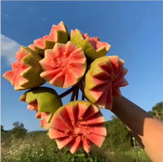 福建红心芭乐，果味清香，果肉细腻，软糯香甜 商品图1