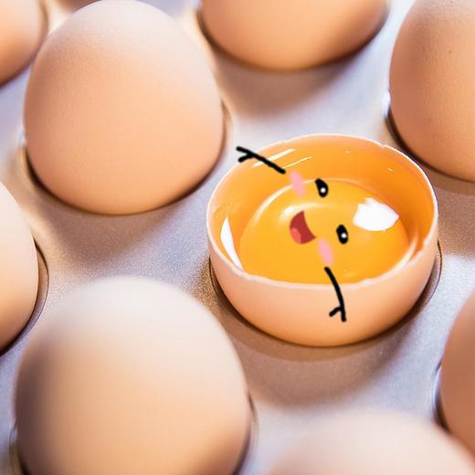 小运仓vip卡omega3鸡蛋聪明蛋礼包