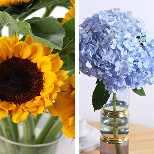 仲夏花材低至14 5元 束get明星同款洋甘菊9 9元花束开抢 氧花er