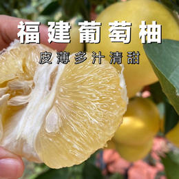 黄金葡萄柚福建4.5-5斤8-8.5斤柚子新鲜当季水果台湾品种西柚整箱包邮