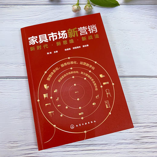家具市场新营销：新时代·新思维·新战法 商品图1