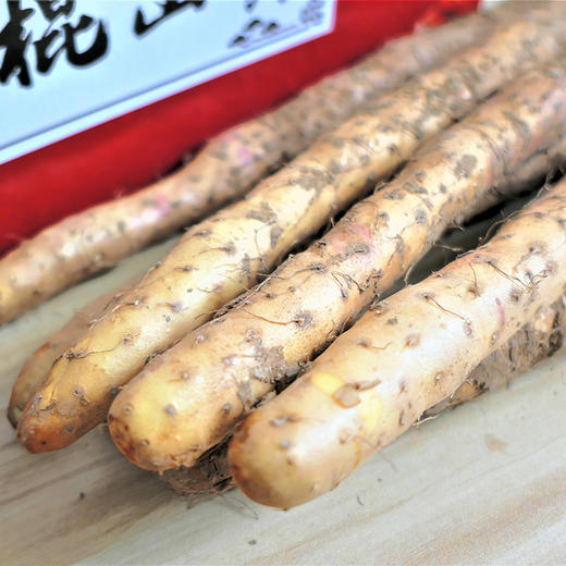 现挖现发温县铁棍山药根根精选绵滑香甜质坚粉足药食同源馈赠佳品