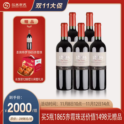 2013年 圣佩特罗 1865赤霞珠干红葡萄酒 商品图0