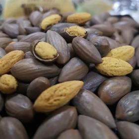 嵊州特产  高山香榧500g【季节限定 只售两周】