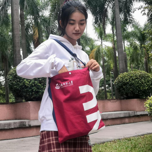 红蓝帆布袋（一面红一面蓝） 商品图2